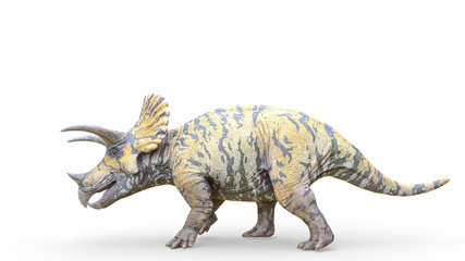 triceratops is walking on white background © DM7