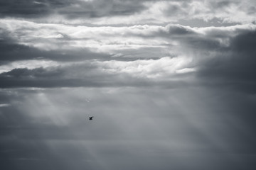A day walking the boardwalk at Solomons Island. The peace of the sky, the relaxation of the water.