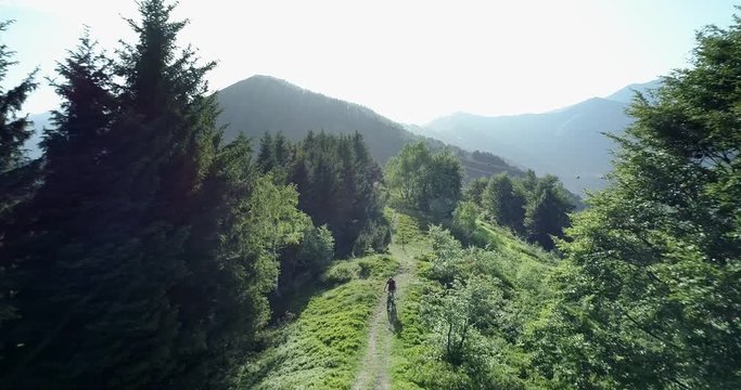 Biker riding mountain bike along forest trail aerial view in summer sunny day. Cross country biker. Aerial MTB bike riding on track trail. Riding mountain e-bike along path on the mountains
