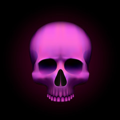 Human skull isolated on black, color pink object.