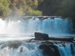 Waterfall of La Leona, in Huilo Huilo Biological Reserve, Los Rios Region, southern Chile.