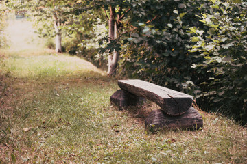 Wooden bench in the forest. Old blackened wood on the background of a dilapidated fence and dense green vegetation