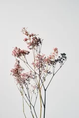 Fototapete Grau Getrocknete wilde Blumen auf Draufsicht des weißen Tabellenhintergrundes.