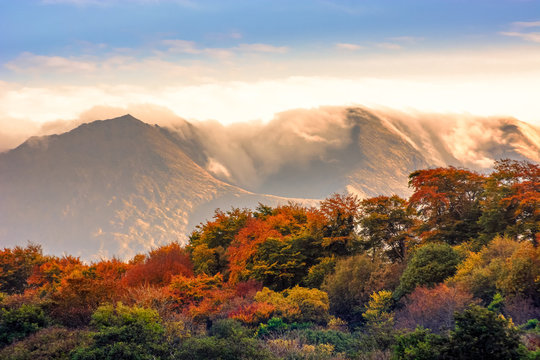 Spectacular view landscape mountain hill foggy day sunrise Killorglin Kerry Ireland red green forest