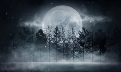 Fotobehang Donker bos. Sombere donkere scène met bomen, grote maan, maanlicht. Rook, schaduw. Abstracte donkere, koude straatachtergrond. Nacht zicht. © MiaStendal