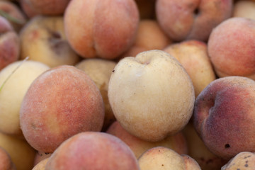 peches bio