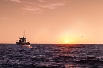 Obraz premium Boat sailing towards the sunset on the Pacific ocean, in California, near Dana Point