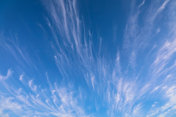 Light cirrus clouds streaking against the blue sky