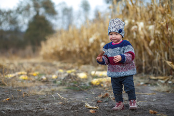 Beautiful baby in warm stylish sweater Little girl eating corn on the field. Harvest time. organic agriculture for children. Cute child on a foggy autumn evening outdoor. Happy children day concept