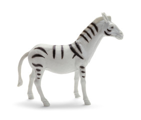 Zebra Side View