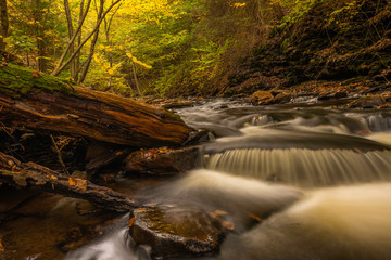 Beautiful river stream in autumn forest with fallen dry leaves at Ricketts Glen Park in Pennsylvania