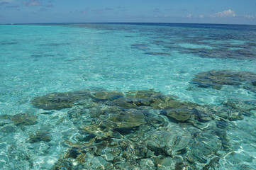 Fototapeta na wymiar The clear waters of the Maldive Islands