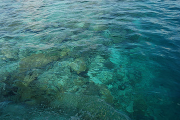 Crystal waters showing lush corals in the Maldive Islands