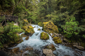 Milford Sound Rapids