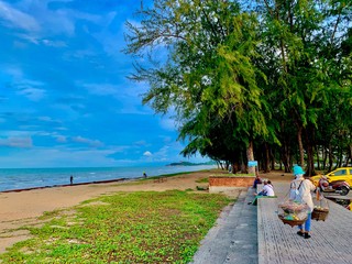 Naklejka premium beach with palm trees
