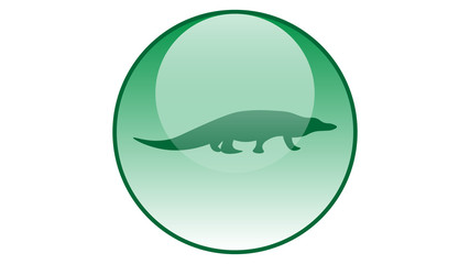 Crocodile icon vector design. Reptiles icons