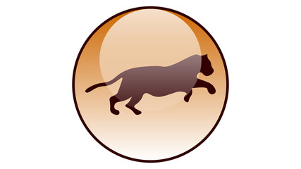 Tiger icon vector design. Wildlife icons