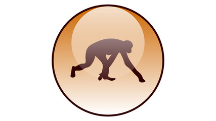 Monkey icon vector design. Wildlife icons	