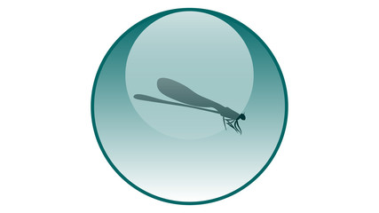 Dragonfly icon vector design. Dragonfly vector	