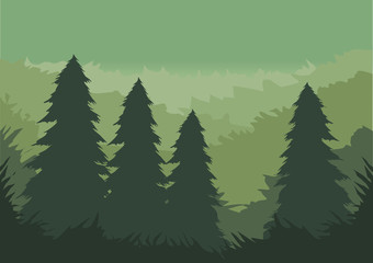 pine forest panorama for background and illustartion image