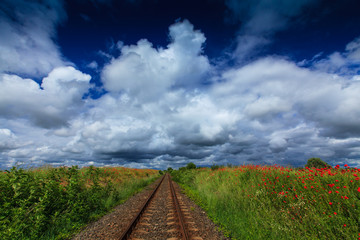 Naklejka premium Scenic rural fields in summer, in a agricultural area in Romania, with green fields of wheat, poppy flowers, and storm clouds