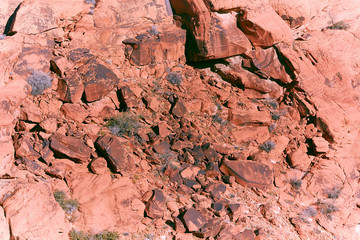 Nevada Desert Landscape