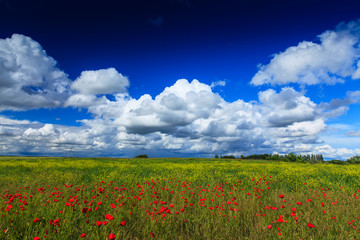 Beautiful summer fields and storm clouds in a remote rural area in Europe