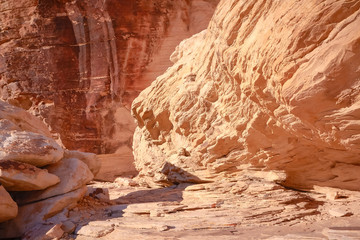 Nevada Desert Landscape