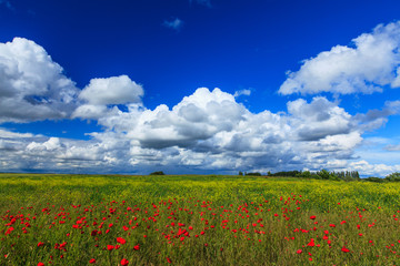 Beautiful summer fields and storm clouds in a remote rural area in Europe