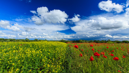 Fototapeta na wymiar Beautiful summer fields and storm clouds in a remote rural area in Europe