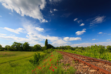 Beautiful pastoral scenery in early summer, with wild red poppy flowers along old railroad track