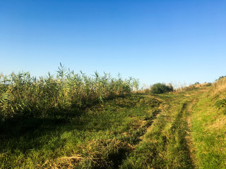 Fototapeta premium Field. There is a road through the field. Bright blue sky. Autumn Landscape.