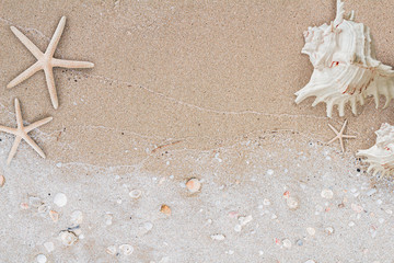 Sand and shell and starfish in flat lay out background for summer time season.