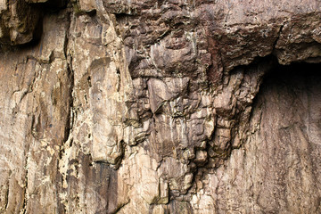 Cliffs and rock formations along the coastline of the Coramandel Peninsula