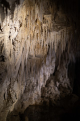 Formations within the Waitomo Glow Worm caves
