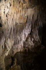Fototapeta na wymiar Formations within the Waitomo Glow Worm caves