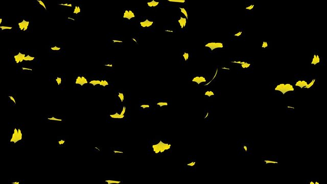 Alpha channel file - Falling yellow ginkgo leaves