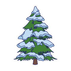 pine tree with snow icon, colorful flat design