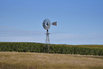 Field & Windmill