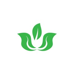 Fototapeta na wymiar Green leaf logo