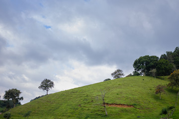 Paisaje nublado en el campo