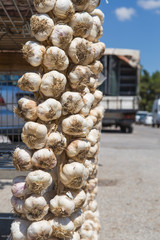 fresh garlic  on the road street