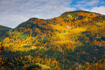 Obraz premium Sunlight lights up mountain covered in fall colors
