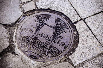 Hakodate manhole sewage cover on street - Japanese Unique manhole cover lid
