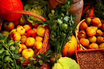 bio obst und gemüse vom hofladen
