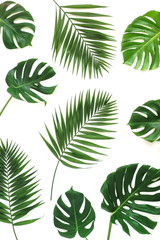 tropical green palm, monstera leaves , branches pattern isolated on a white background. top view.copy space.abstract.