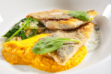 Cod fillet with pumpkin puree and spinach