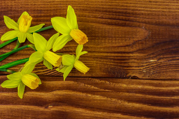 Fototapeta premium Yellow daffodil flowers on wooden background. Greeting card for Valentine's Day, Women's Day and Mother's Day. Top view, copy space