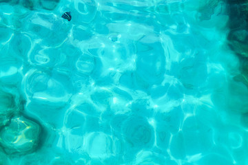 Blue crystal clear sea water texture background, turquoise transparent ocean surface close up, sun light rays glow reflection on abstract aqua natural pattern backdrop, small swimming fish underwater