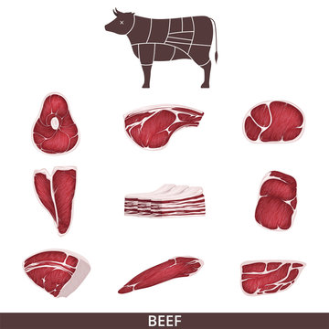 Set of beef meat and steaks, slices and a cow for restaurants and a butcher. Diagram and chart of cow cuts of beef.